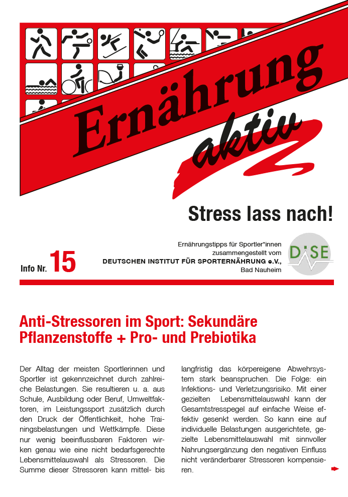 Ernährung aktiv Nr. 15 Stress